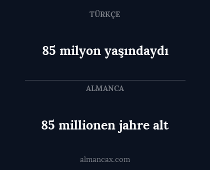 85 milyon yaşındaydı - 85 millionen jahre alt