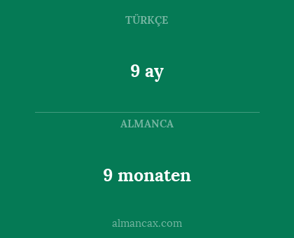 9 monaten - 9 ay