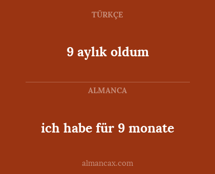 ich habe für 9 monate - 9 aylık oldum