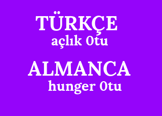 a%C3%A7l%C4%B1k+0tu-hunger+0tu.png