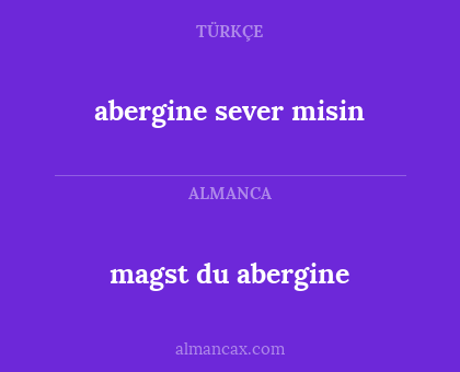 magst du abergine - abergine sever misin