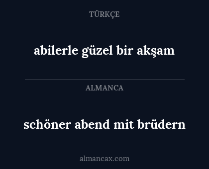 schöner abend mit brüdern - abilerle güzel bir akşam