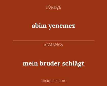 mein bruder schlägt - abim yenemez