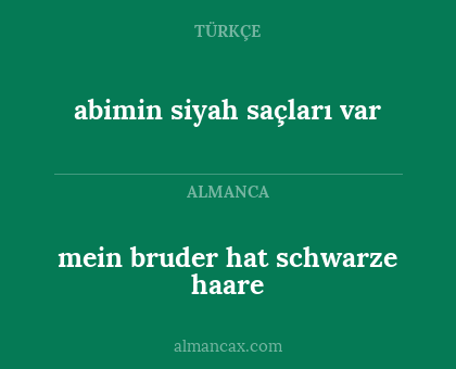 abimin siyah saçları var - mein bruder hat schwarze haare