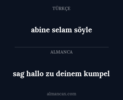 abine selam söyle - sag hallo zu deinem kumpel