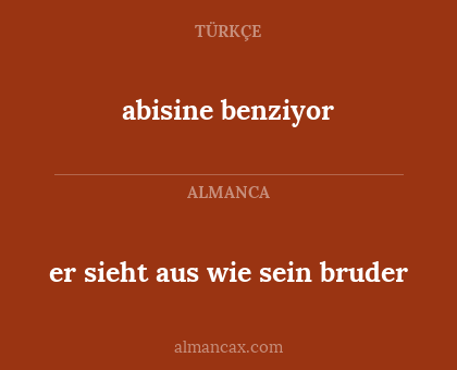 abisine benziyor - er sieht aus wie sein bruder