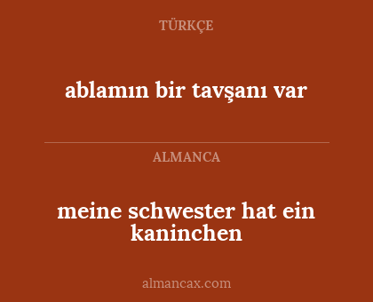 ablamın bir tavşanı var - meine schwester hat ein kaninchen