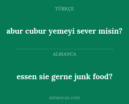 essen sie gerne junk food? - abur cubur yemeyi sever misin?