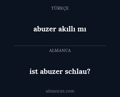 abuzer akıllı mı - ist abuzer schlau?
