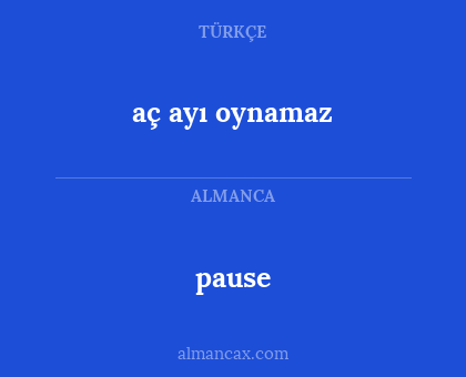 pause - aç ayı oynamaz