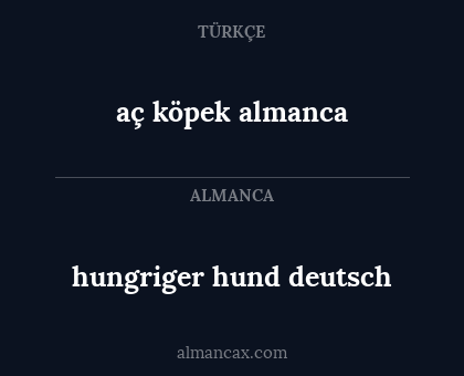 aç köpek almanca - hungriger hund deutsch