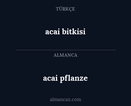 acai bitkisi - acai pflanze