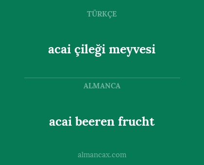 acai beeren frucht - acai çileği meyvesi