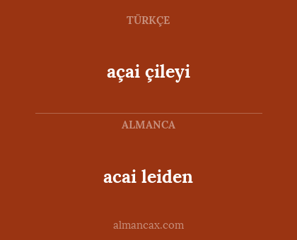 acai leiden - açai çileyi