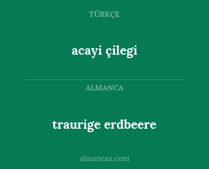 acayi çilegi - traurige erdbeere