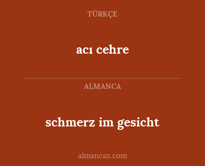 schmerz im gesicht - acı cehre