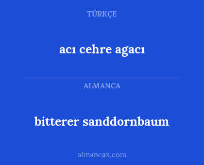 bitterer sanddornbaum - acı cehre agacı