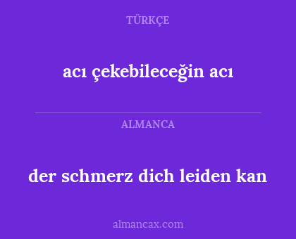 acı çekebileceğin acı - der schmerz dich leiden kan
