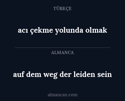 auf dem weg der leiden sein - acı çekme yolunda olmak