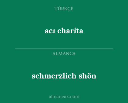 schmerzlich shön - acı charita
