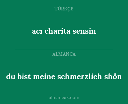 du bist meine schmerzlich shön - acı charita sensin