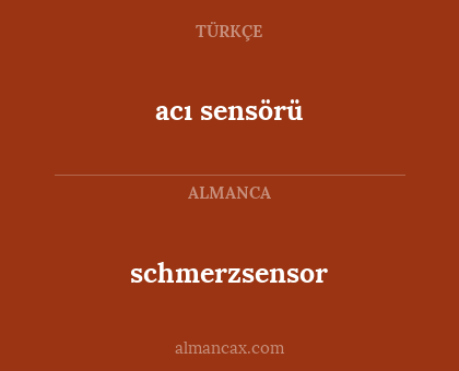 acı sensörü - schmerzsensor