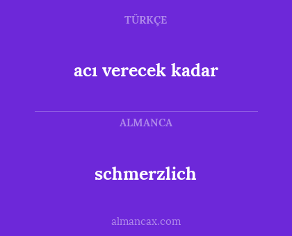 schmerzlich - acı verecek kadar