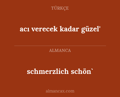 schmerzlich schön` - acı verecek kadar güzel'