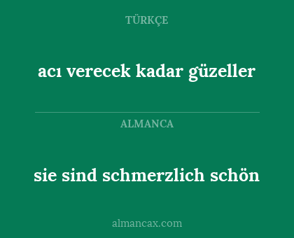 sie sind schmerzlich schön - acı verecek kadar güzeller