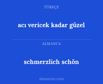 acı vericek kadar güzel - schmerzlich schön