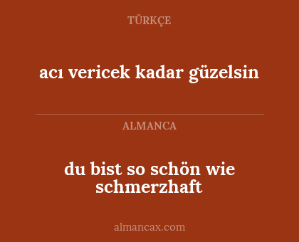 du bist so schön wie schmerzhaft - acı vericek kadar güzelsin