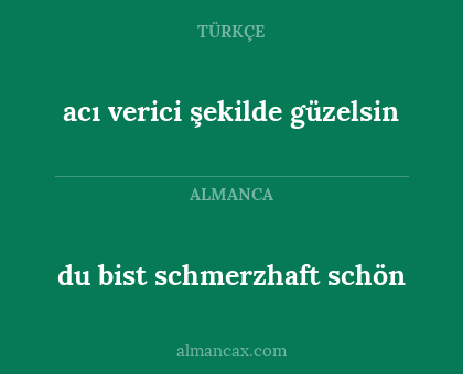 acı verici şekilde güzelsin - du bist schmerzhaft schön