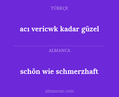 schön wie schmerzhaft - acı vericwk kadar güzel