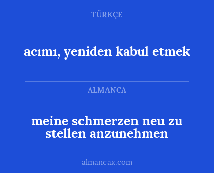 meine schmerzen neu zu stellen anzunehmen - acımı, yeniden kabul etmek