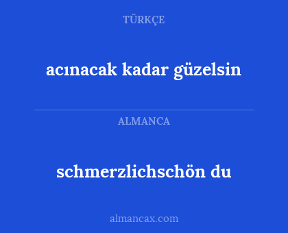schmerzlichschön du - acınacak kadar güzelsin