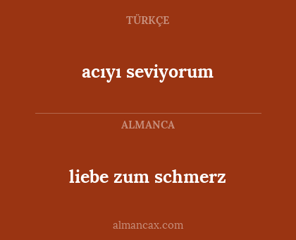 liebe zum schmerz - acıyı seviyorum