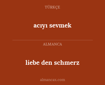 liebe den schmerz - acıyı sevmek