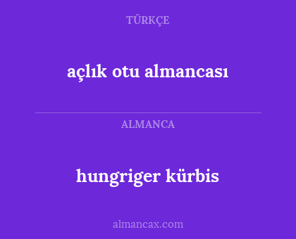 açlık otu almancası - hungriger kürbis