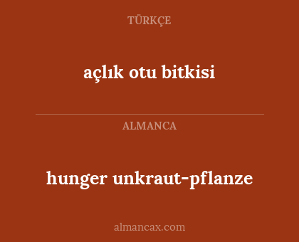 açlık otu bitkisi - hunger unkraut-pflanze