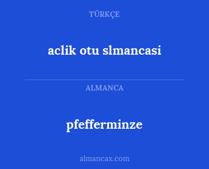 aclik otu slmancasi - pfefferminze