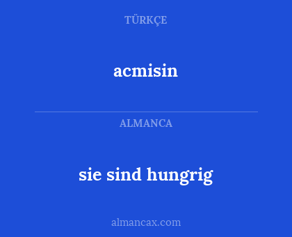 sie sind hungrig - acmisin