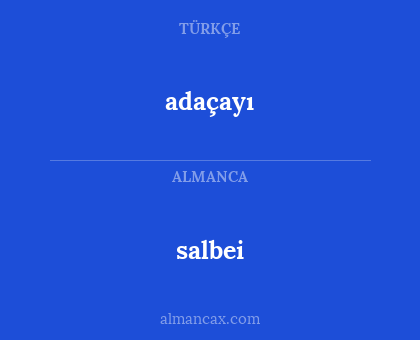 salbei - adaçayı