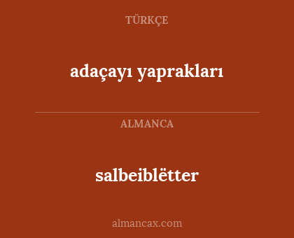 salbeiblëtter - adaçayı yaprakları