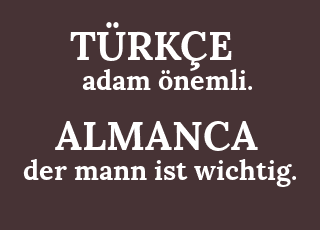 adam+%C3%B6nemli.-der+mann+ist+wichtig..png