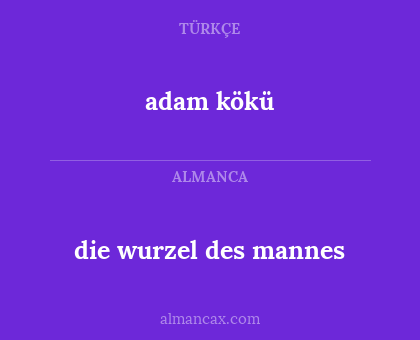 die wurzel des mannes - adam kökü