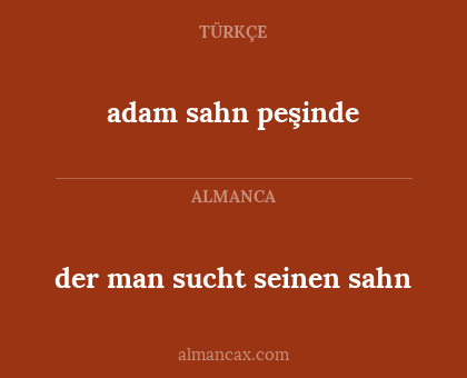 adam sahn peşinde - der man sucht seinen sahn