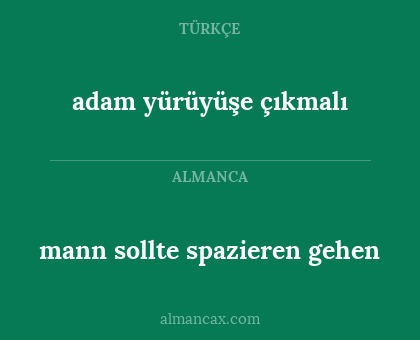 mann sollte spazieren gehen - adam yürüyüşe çıkmalı