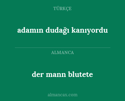 adamın dudağı kanıyordu - der mann blutete