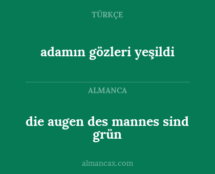 adamın gözleri yeşildi - die augen des mannes sind grün