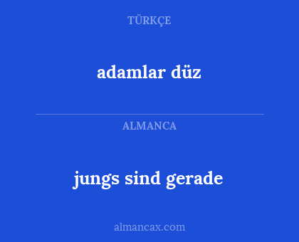 jungs sind gerade - adamlar düz